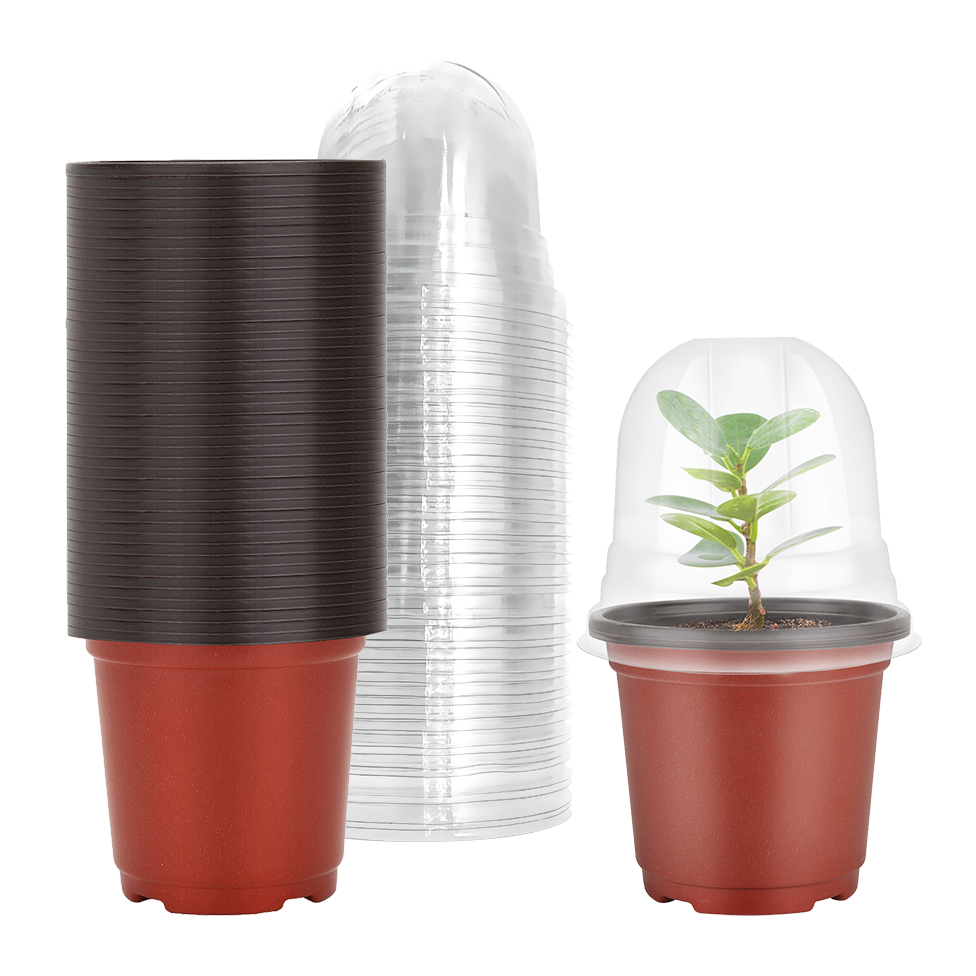 Seed Starter Trays - Plantenkwekerijpotten met vochtigheidskoepels, 40 sets 4