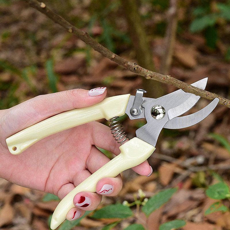 Gardening Tools Basic - Arbeidsbesparende tuinsnoeischaar, professionele handknipper voor het