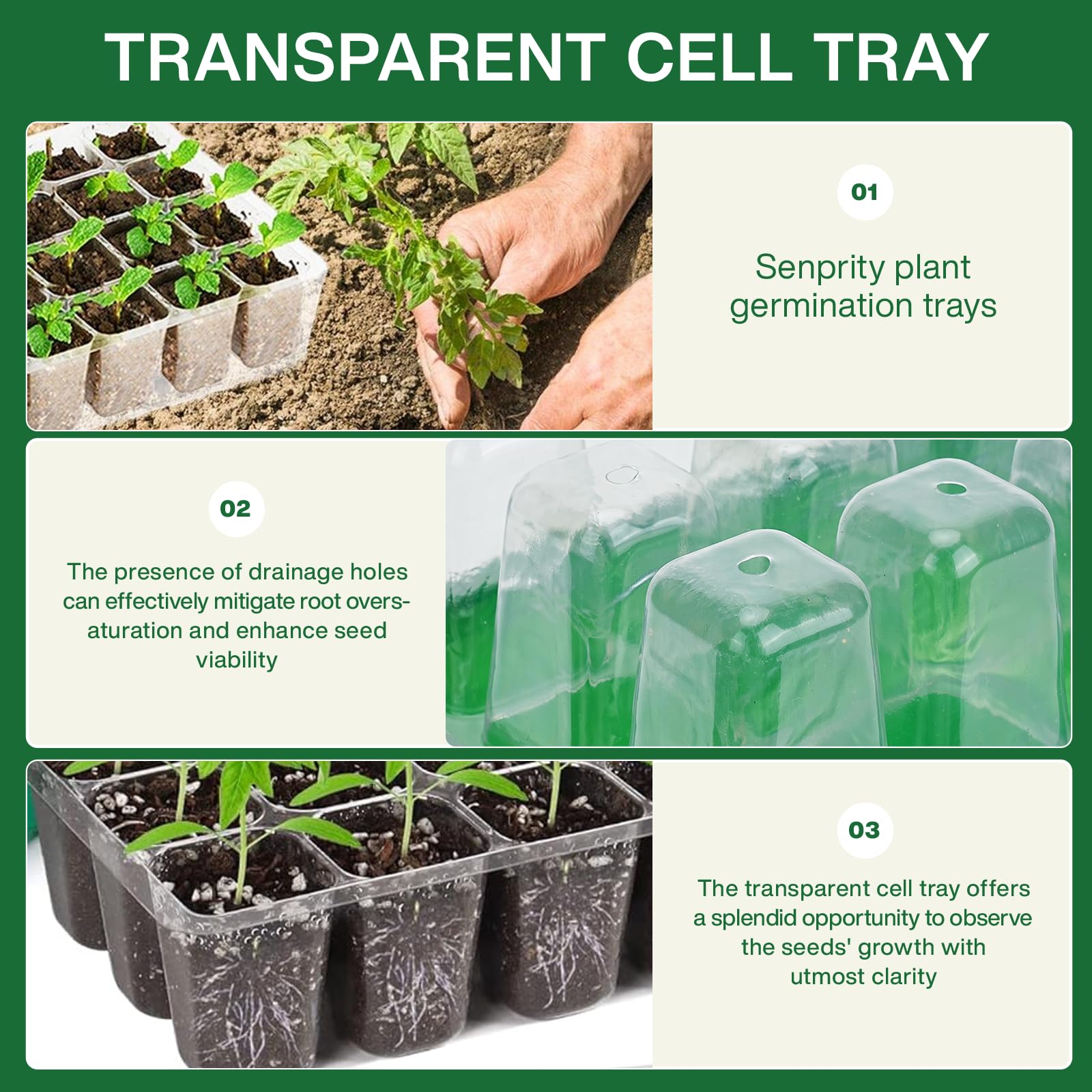 Zaai- en kweekbak met plantenv - Seed Starter Trays recensie en prijs