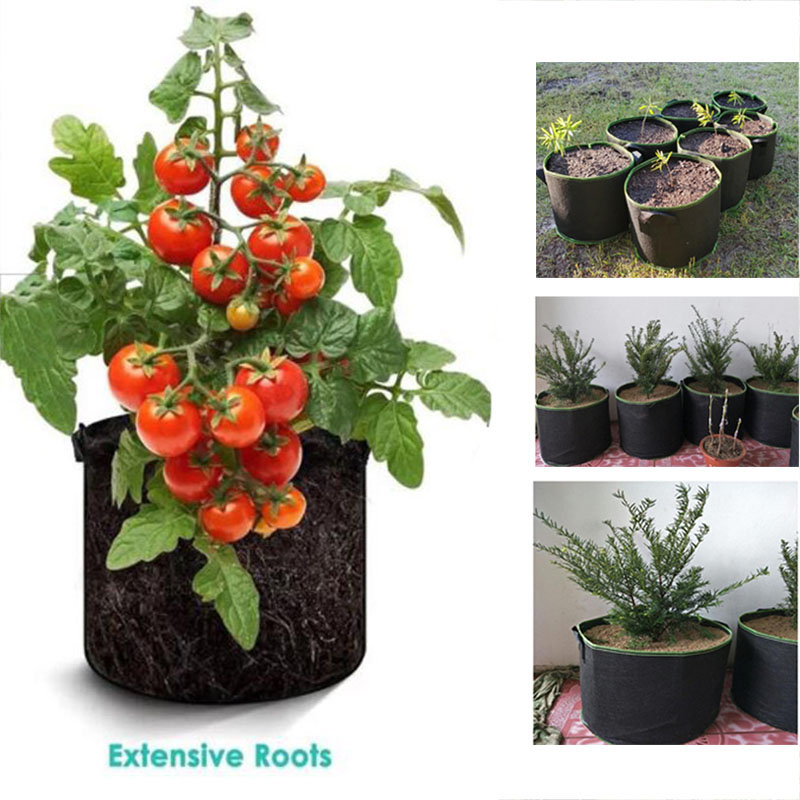 20Gal kweekpotten groentebloem - Gardening Tools Big recensie en prijs
