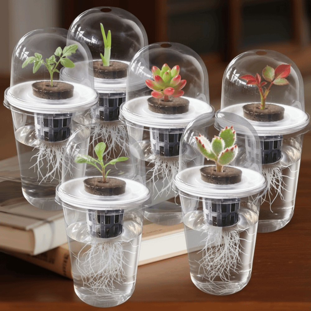 1-5pc Zichtbare Transparante P - Seed Starter Trays recensie en prijs
