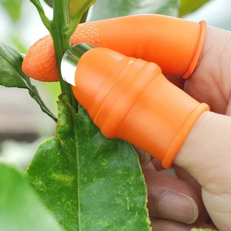 Duimmesjes voor het plukken va - Gardening Tools Knife recensie en prijs
