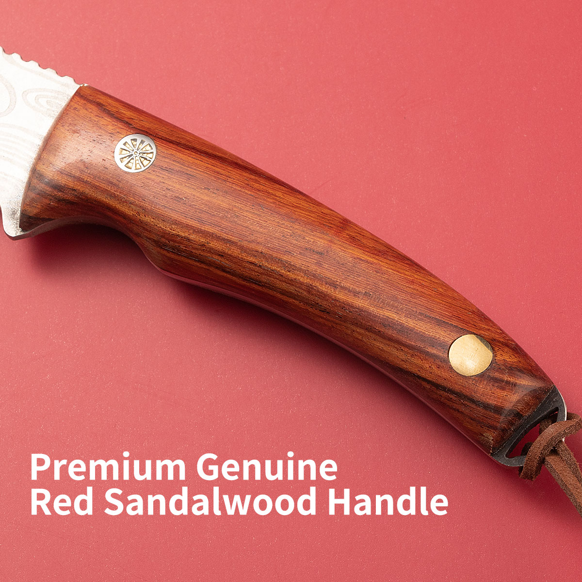 Multifunctioneel entmes｜Roestv - Gardening Tools Knife recensie en prijs