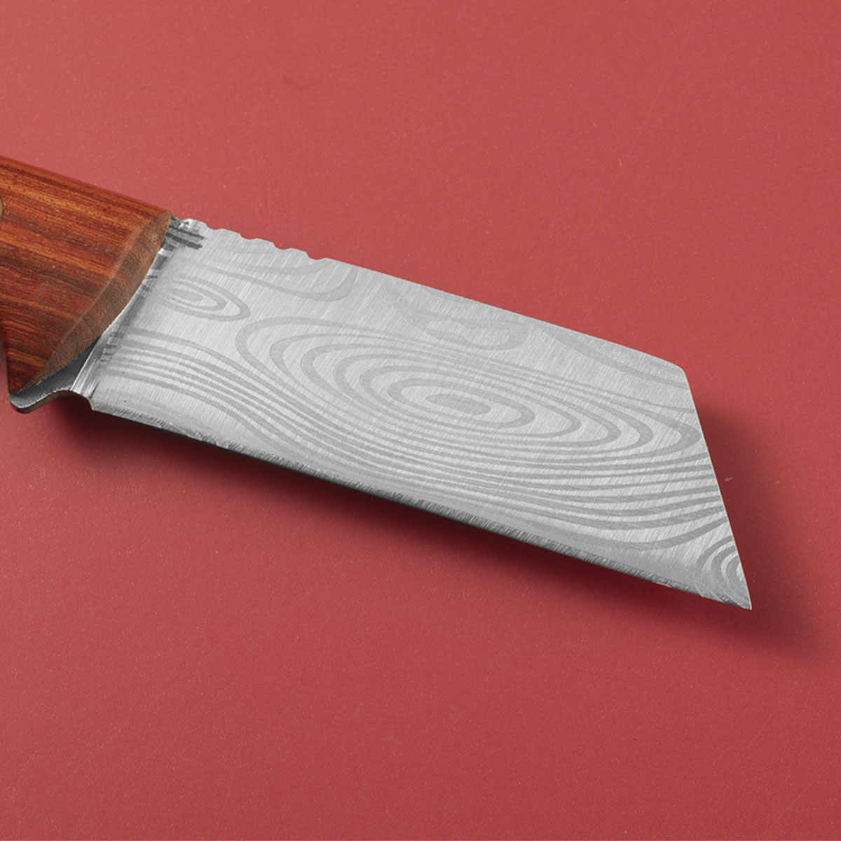 Multifunctioneel entmes｜Roestv - Gardening Tools Knife recensie en prijs