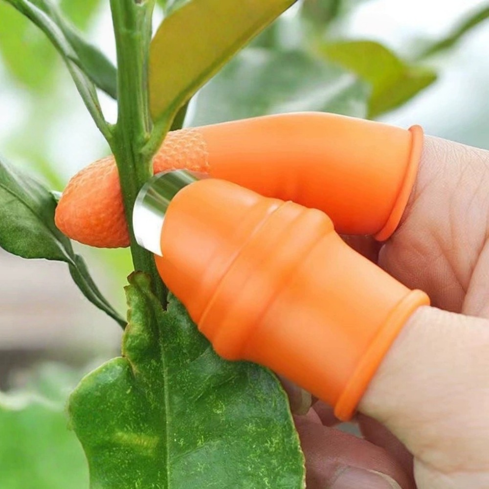 Groentepicking Roestvrijstalen - Gardening Tools Knife recensie en prijs