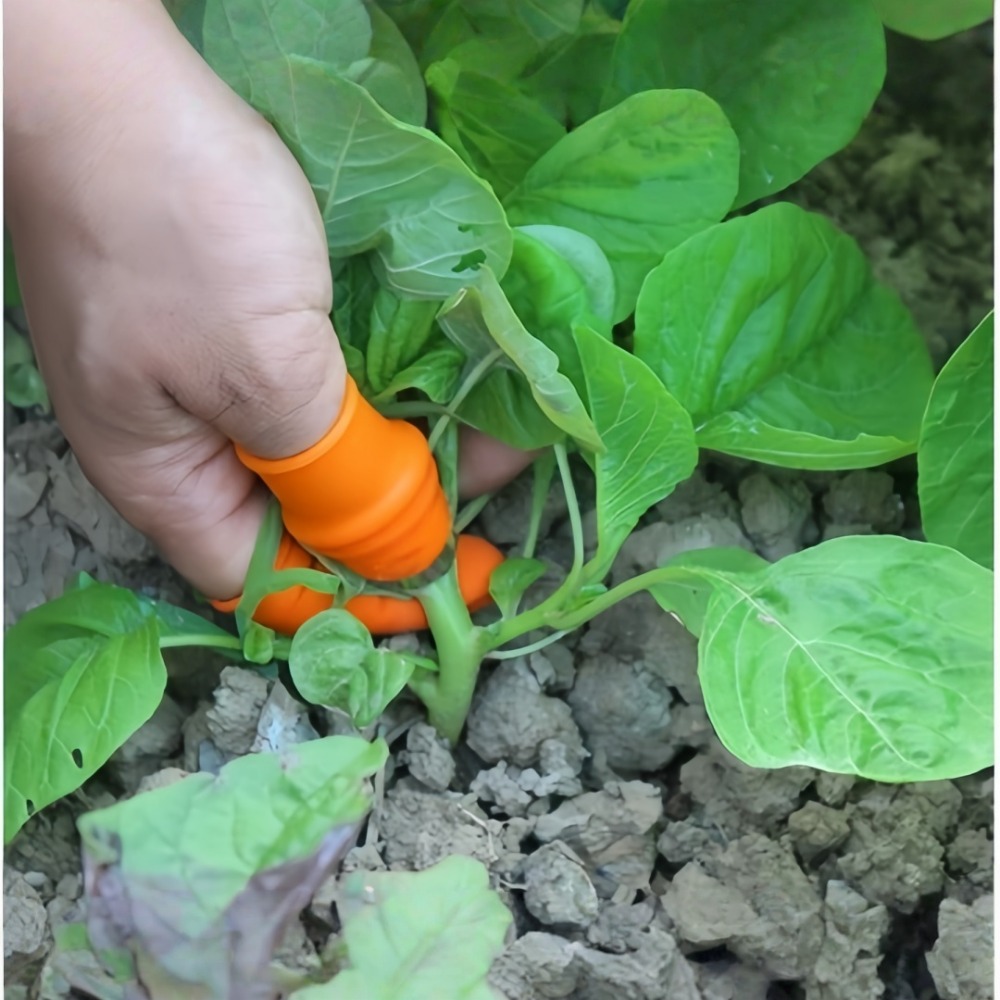 Groentepicking Roestvrijstalen - Gardening Tools Knife recensie en prijs
