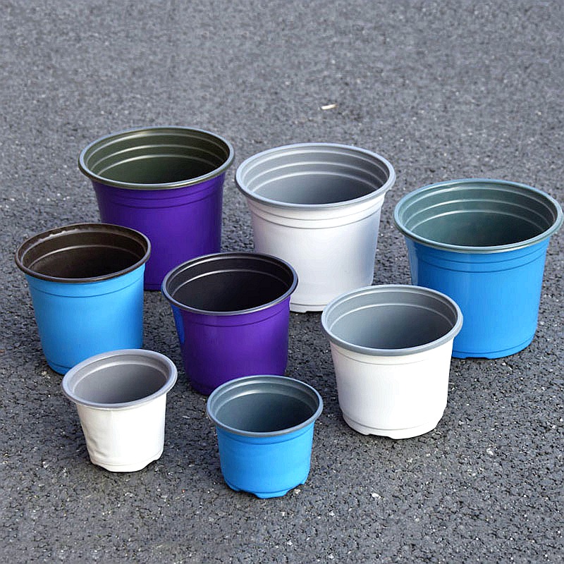 100 Stuks Kleur Plastic Bloemp - Seed Starter Trays recensie en prijs