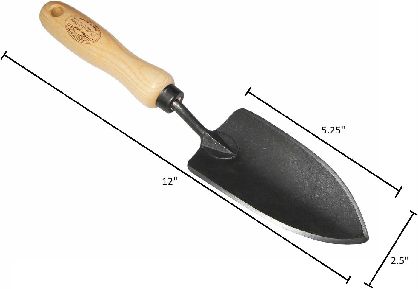 3-delige amaryllis-bollenplant - Gardening Tools Set Gift recensie en prijs